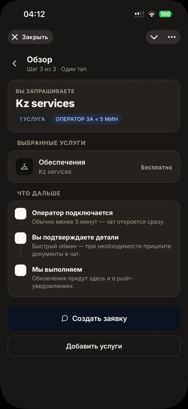 Экран приложения TIRGO — обзор заявки